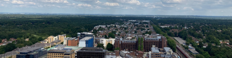 Local Plan consultation